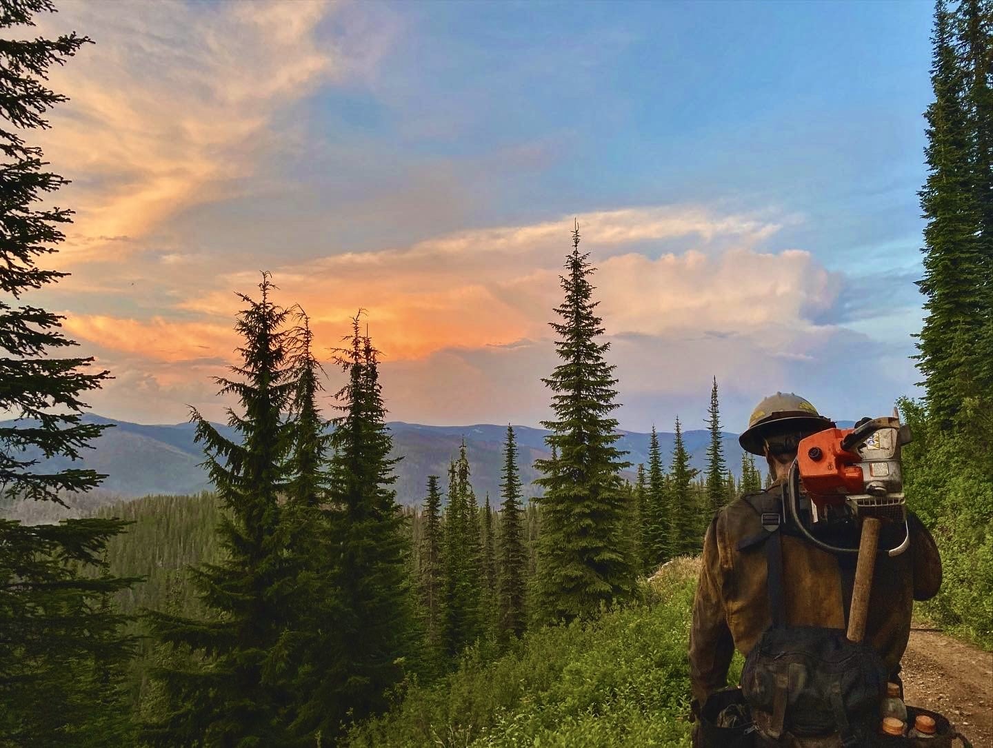 Wildland Fire Jobs Miller Timber Services