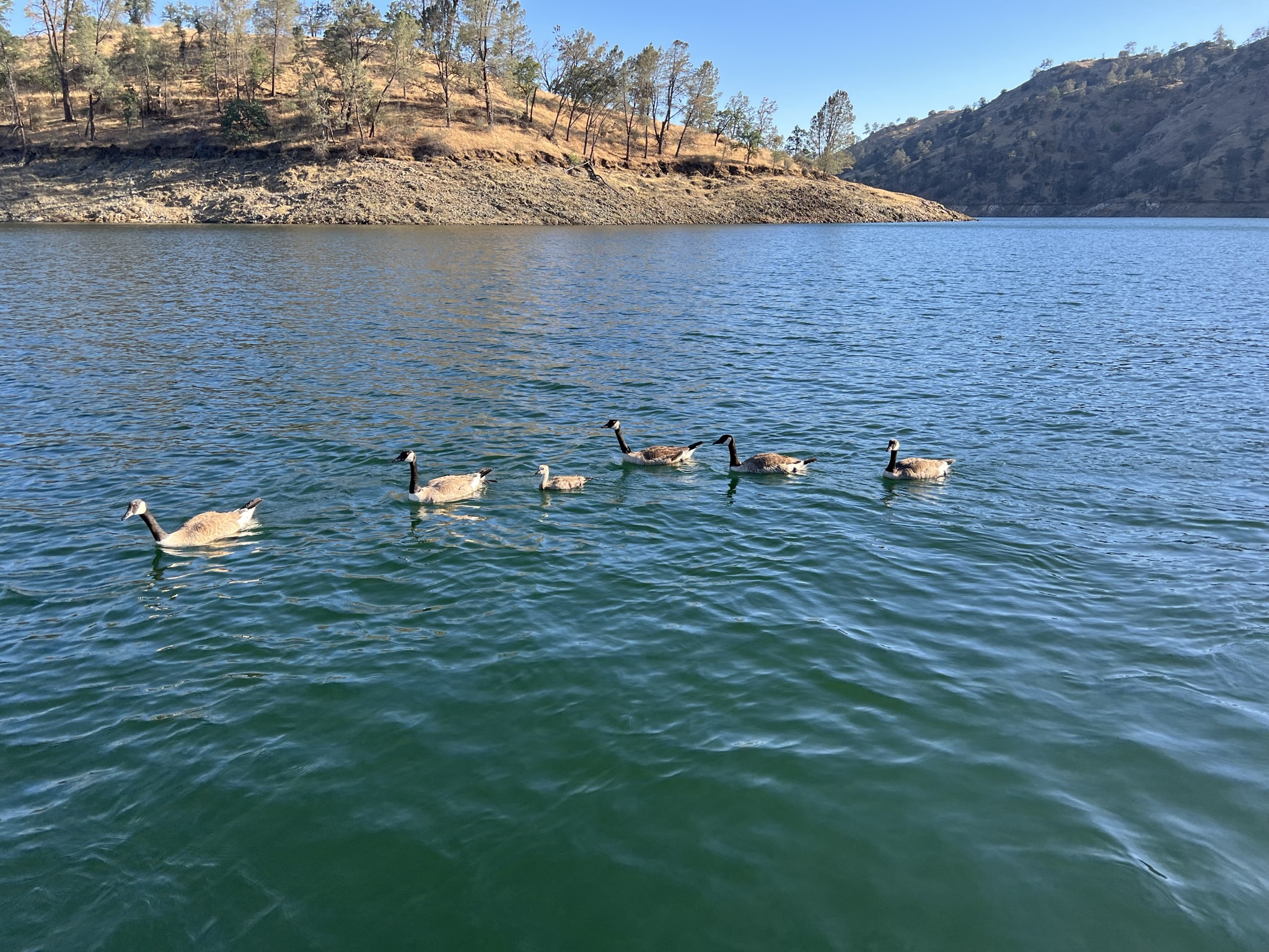 Gallery Millerton Lake Rentals