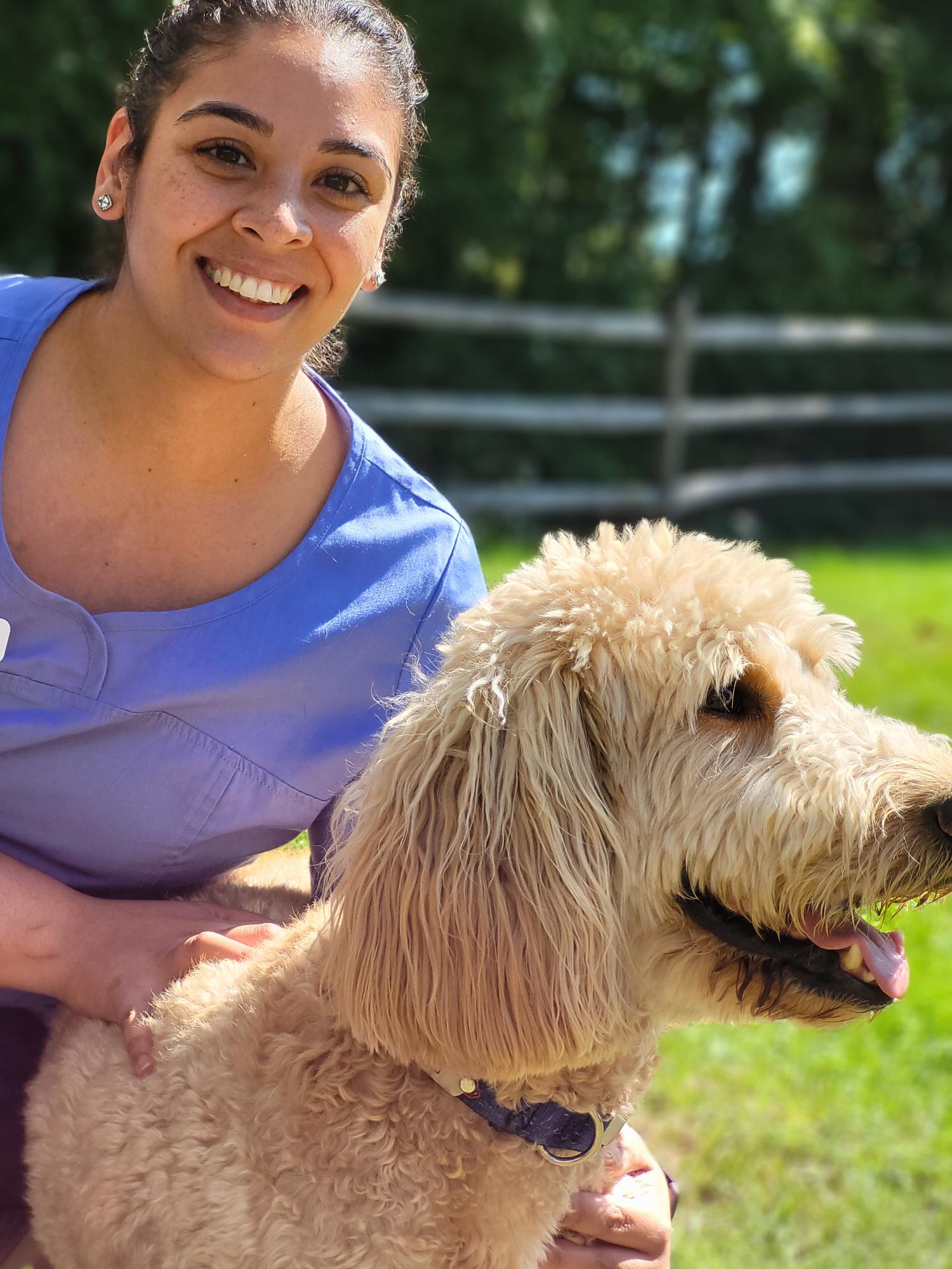 Veterinarians & Staff Millerton Veterinary Practice