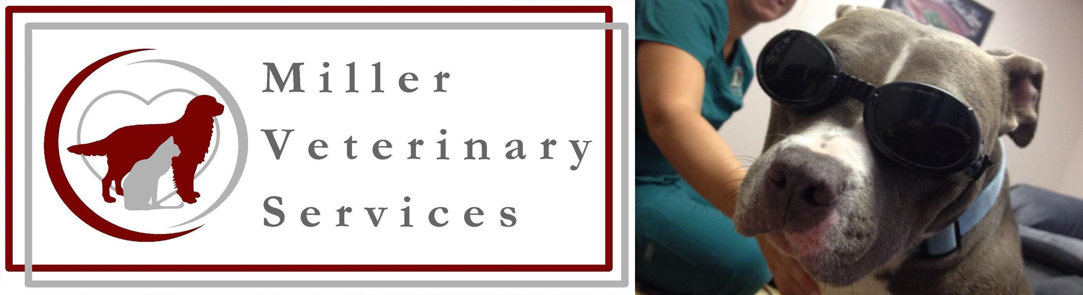 Miller Veterinary Services Animal Hospital in Conyers, GA