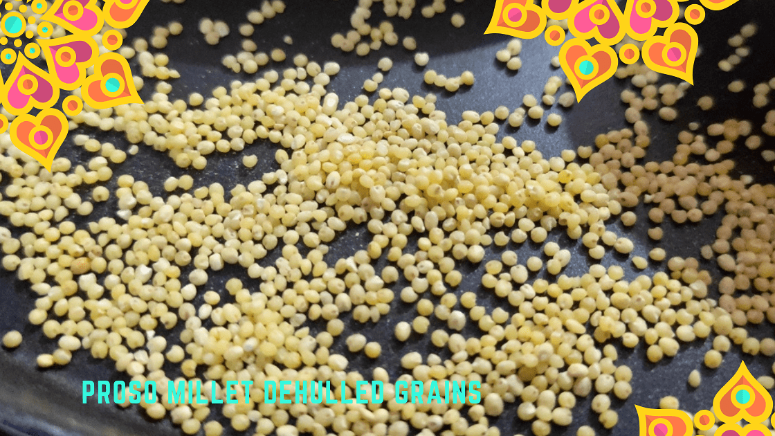 How Proso Millet is Good for You and the Farmers Millet Advisor