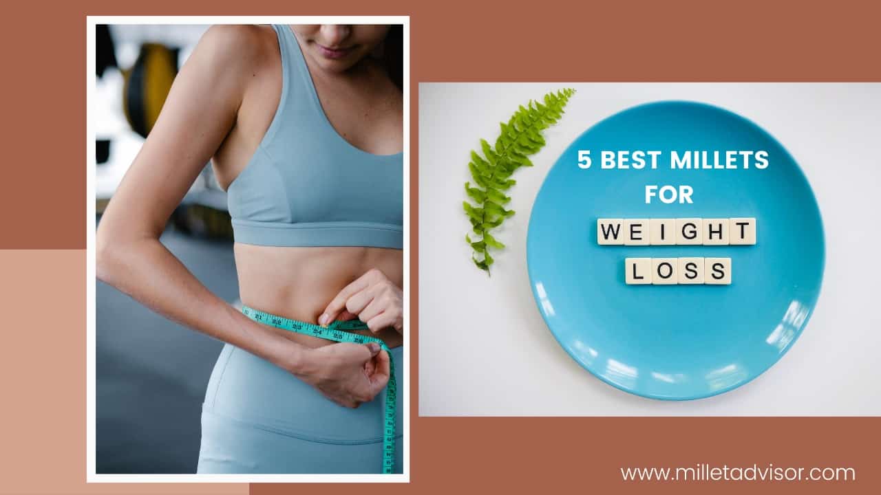 5 best millet for weight loss with yummy and delicious recipes Millet