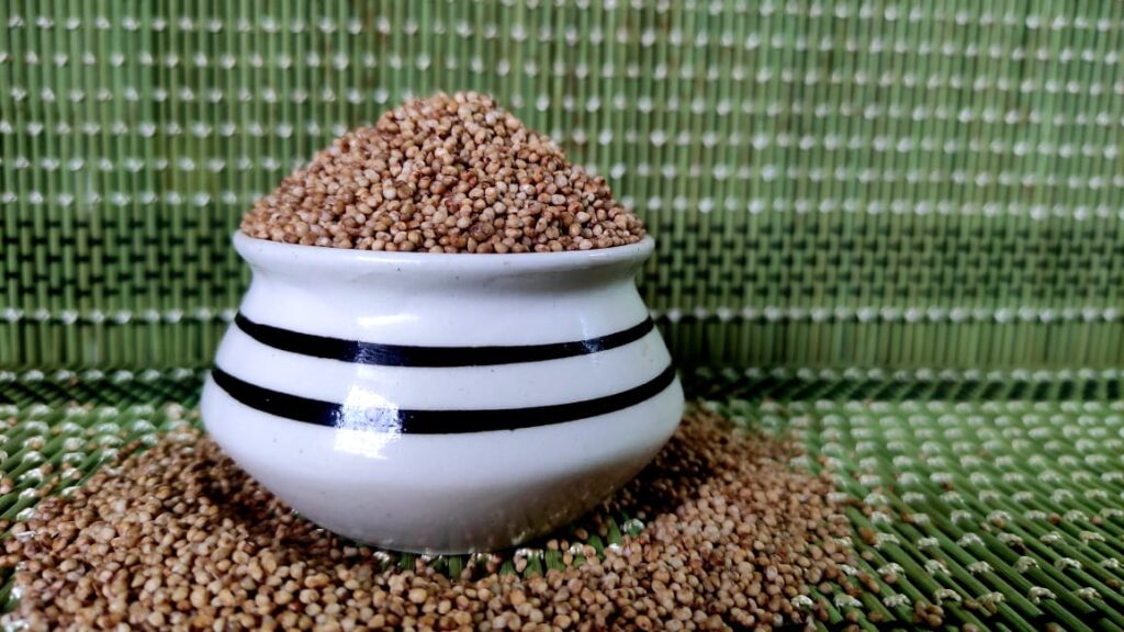 If you Read One Millet Nutrition Facts in 2023 This is the Best One