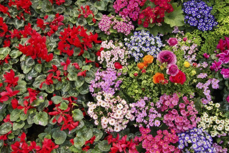 AMEX Offers August 2017 Million Mile Secrets