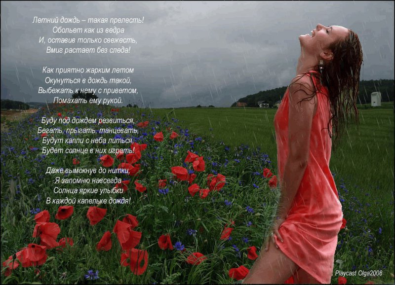 Стихотворение «Летний дождь»