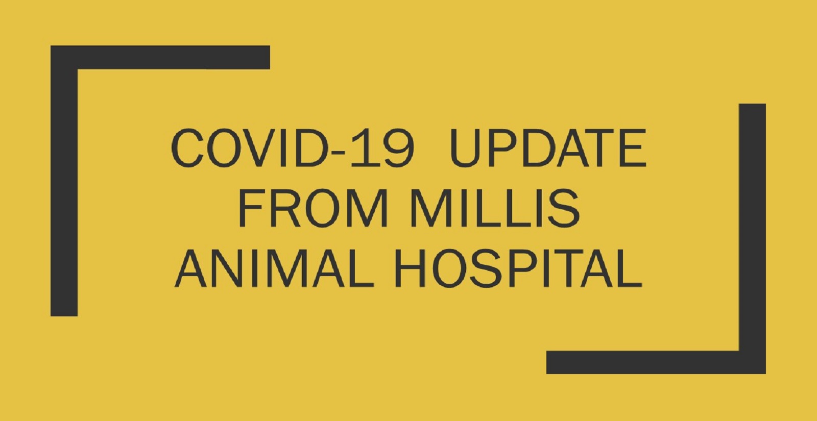 Millis Animal Hospital