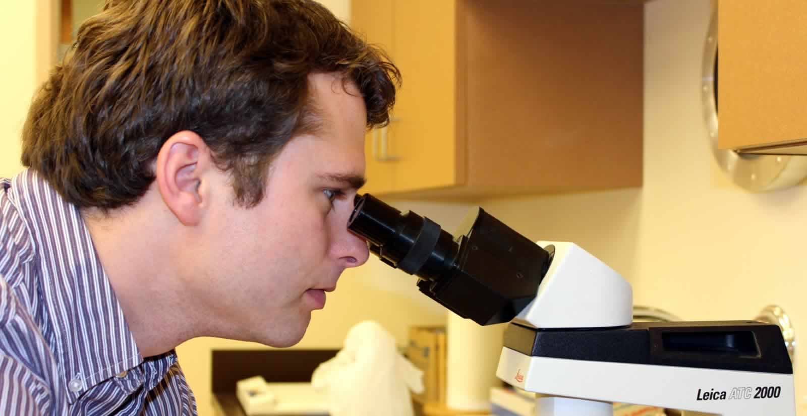 Millis Animal Hospital