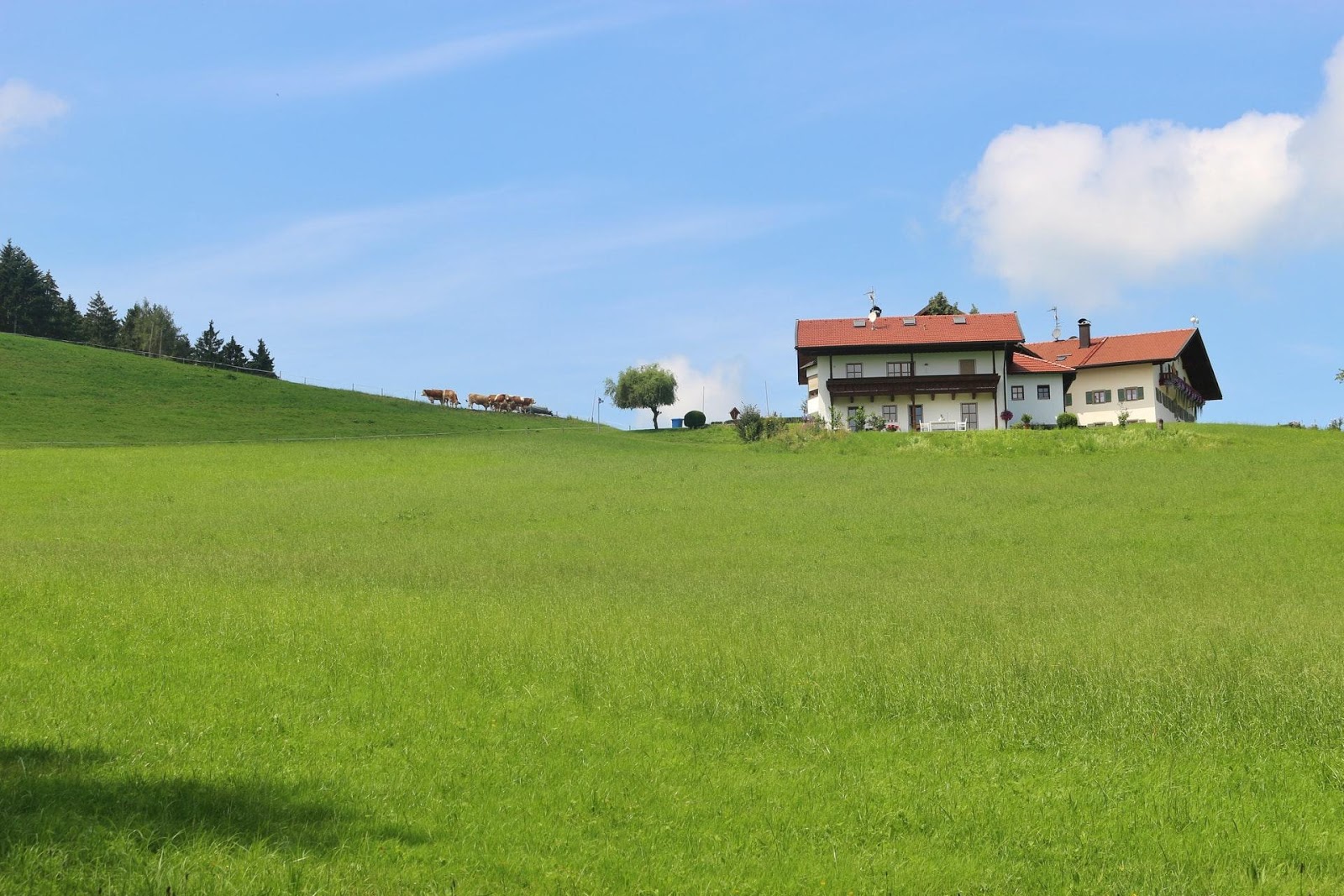 Can You Build a House on Agricultural Land? Millman National