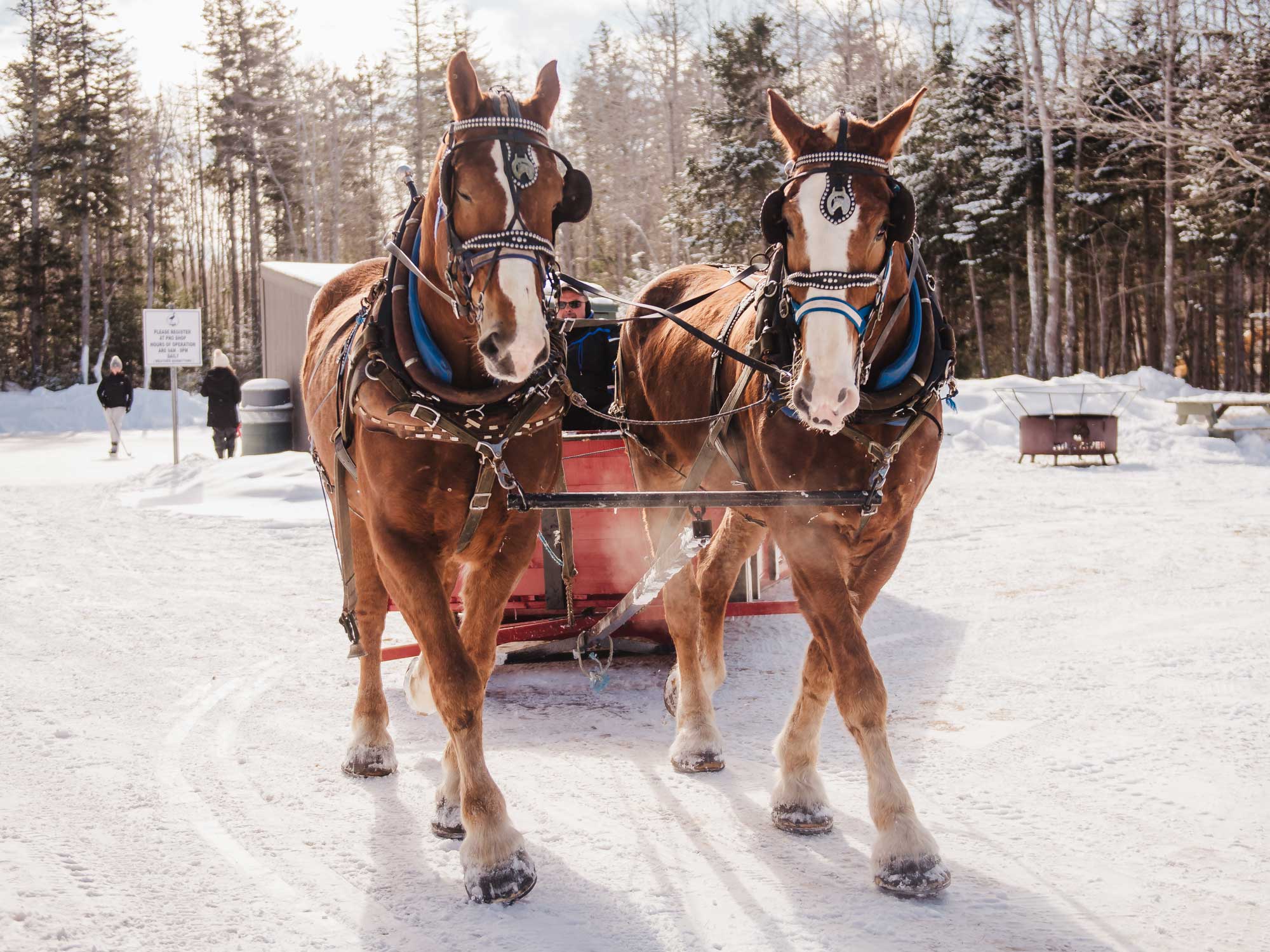 Mill River Resort One of PEI’s most unique vacation destinations.