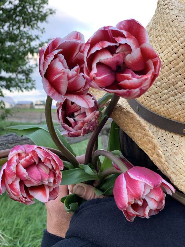 Bella E. Brown Teacher Flowers On Main Pakenham Flowers Pakenham Www Allureflowerdesigns Com