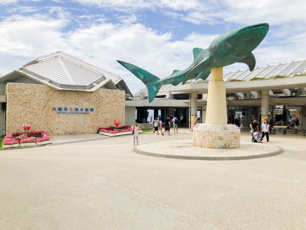 沖繩x旅行│沖繩海洋博公園~美麗海水族館、海豚表演秀必看必逛。跟著導遊玩沖繩兜兜風(第二天)