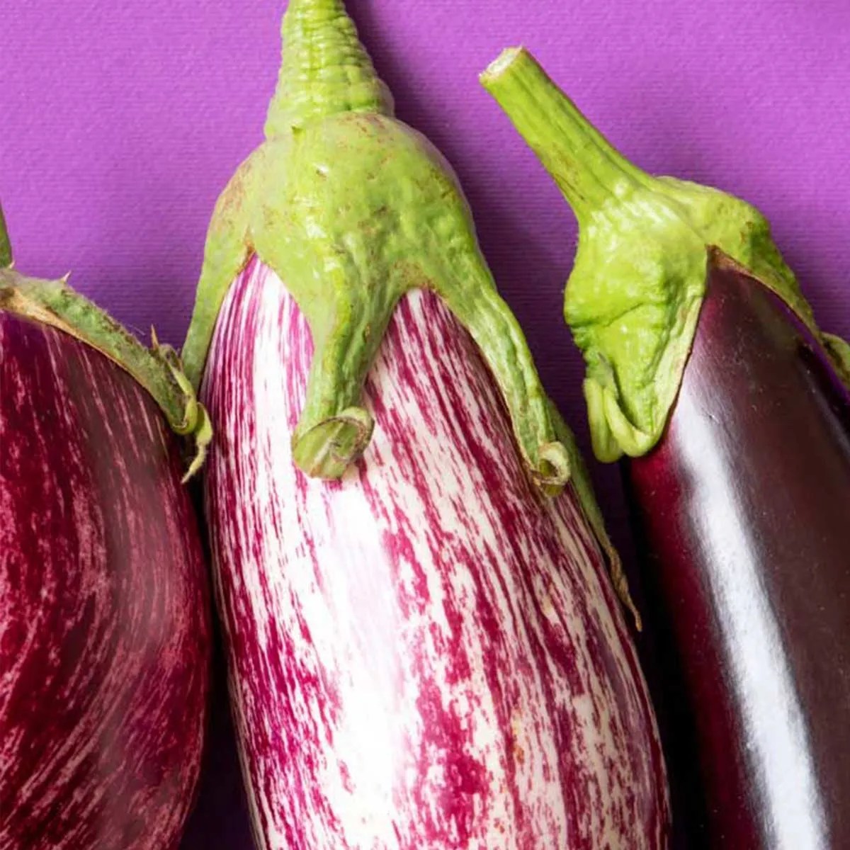 How to Cook Eggplant Grill, Bake, Roast & Stirfry Milly Chino