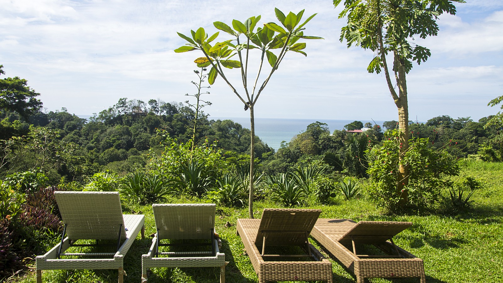 Destination studio Costa Rica's elstudio