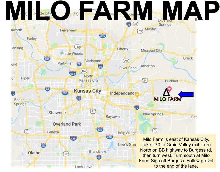 ABOUT Milo Farm