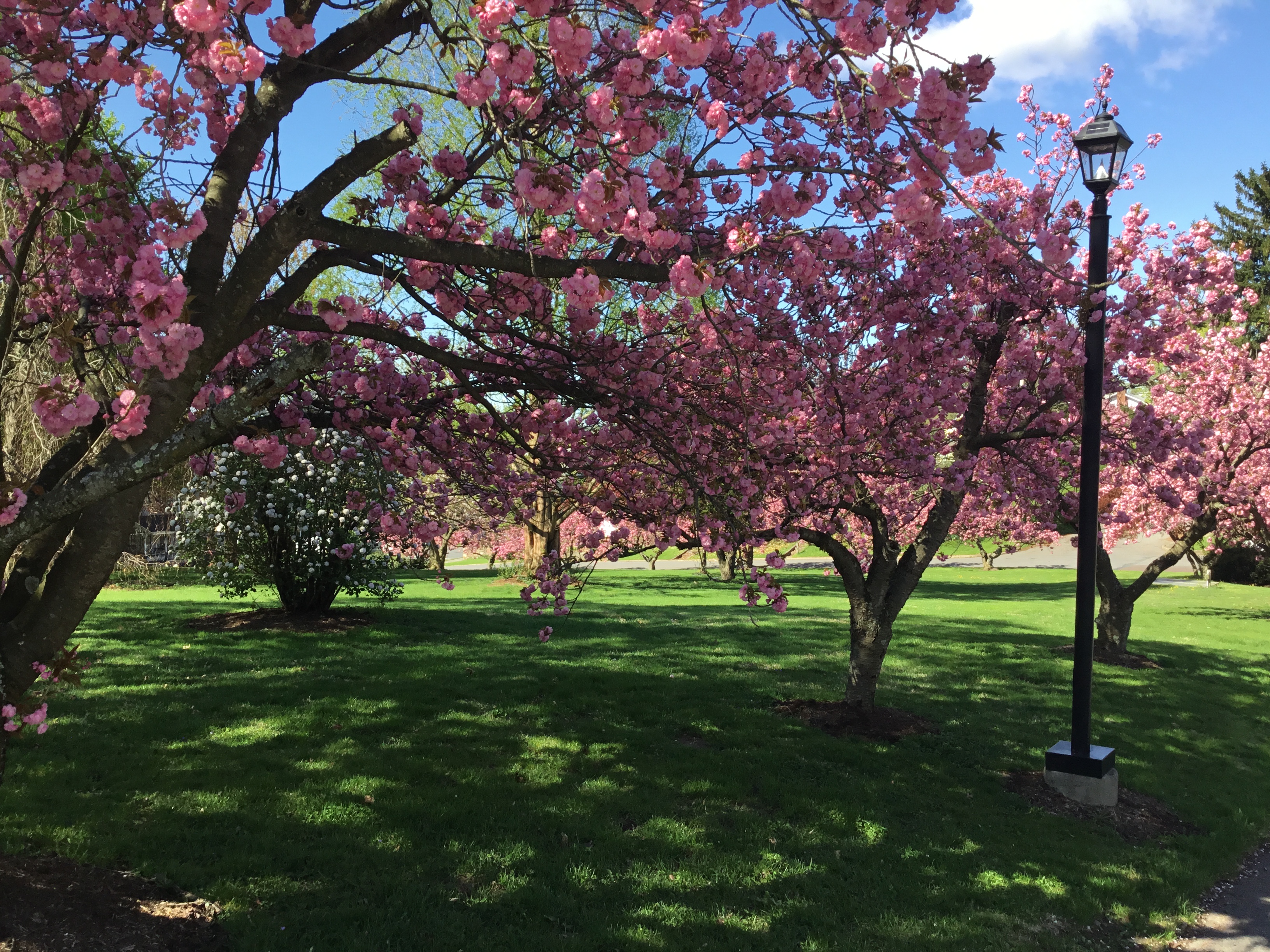 Milton Public Library