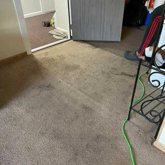 Gallery Milwaukee Carpet Cleaning
