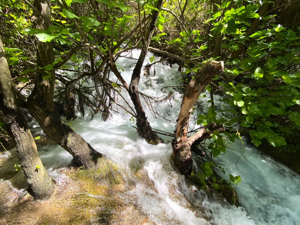 Bosque encantado de Higueras (Jaén)