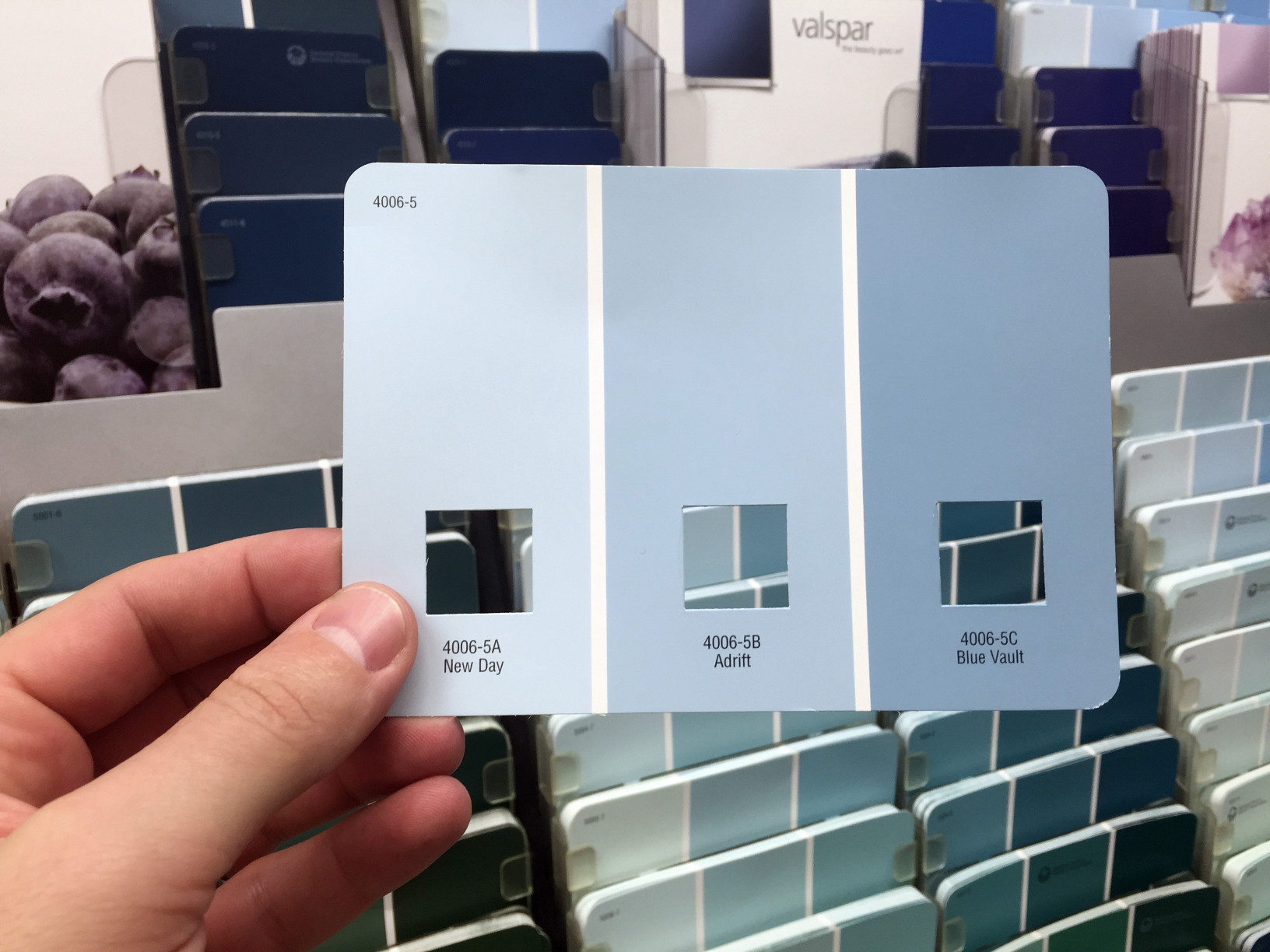 Choosing the Right Paint for Your Home Mimbach Fleet Supply Sauk