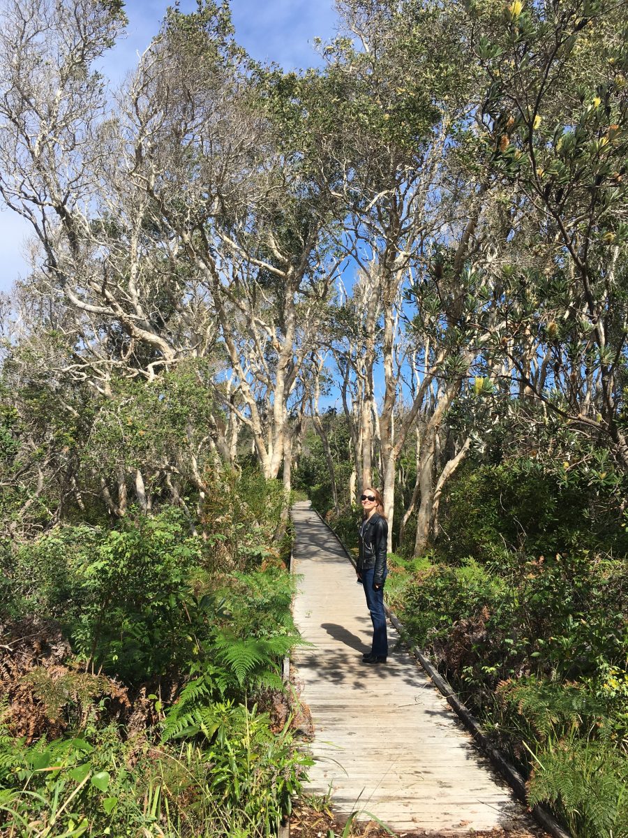 Untaken paths. Mim's Muddle