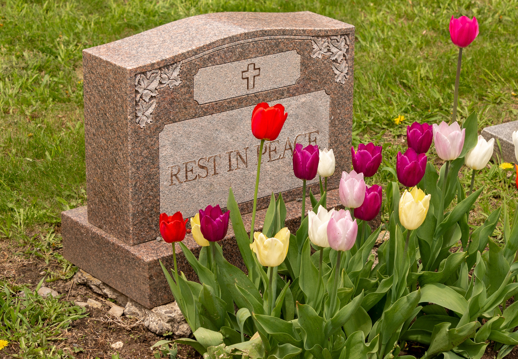 Home Michigan Memorial Funeral Home