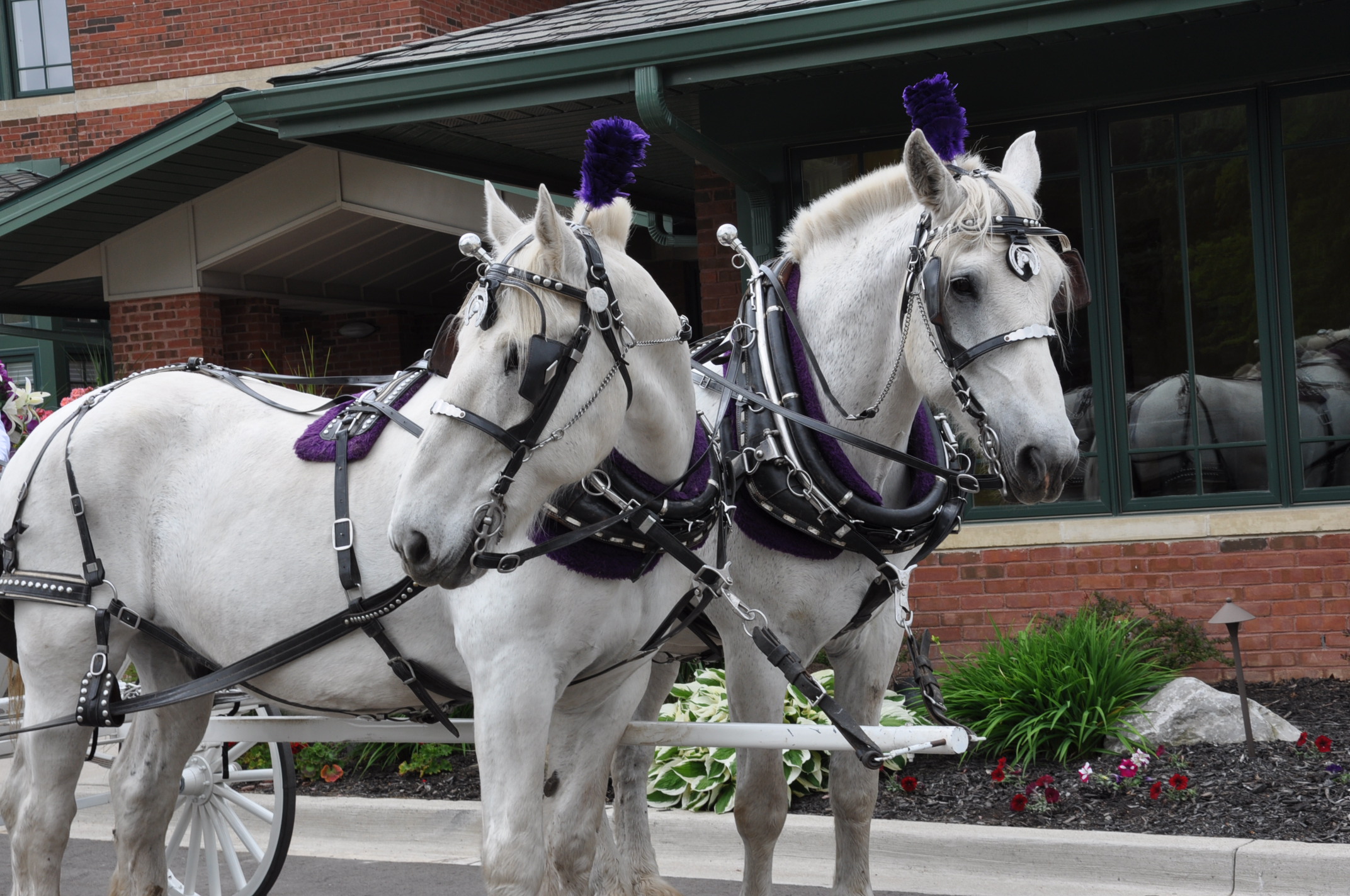 Home Michigan Memorial Funeral Home