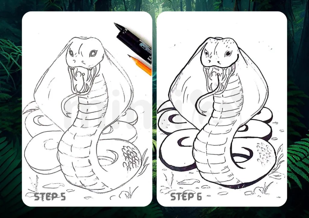 How To Draw a Snake StepByStep How to Mimi Panda