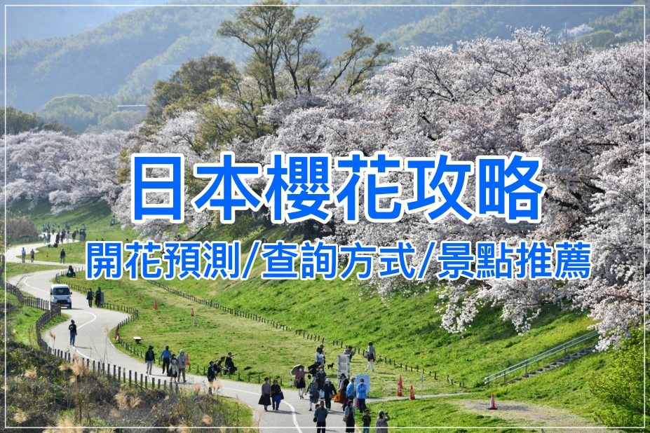 【2026日本賞櫻攻略】最新花期預測！滿開日提早？10大景點交通避雷老實說