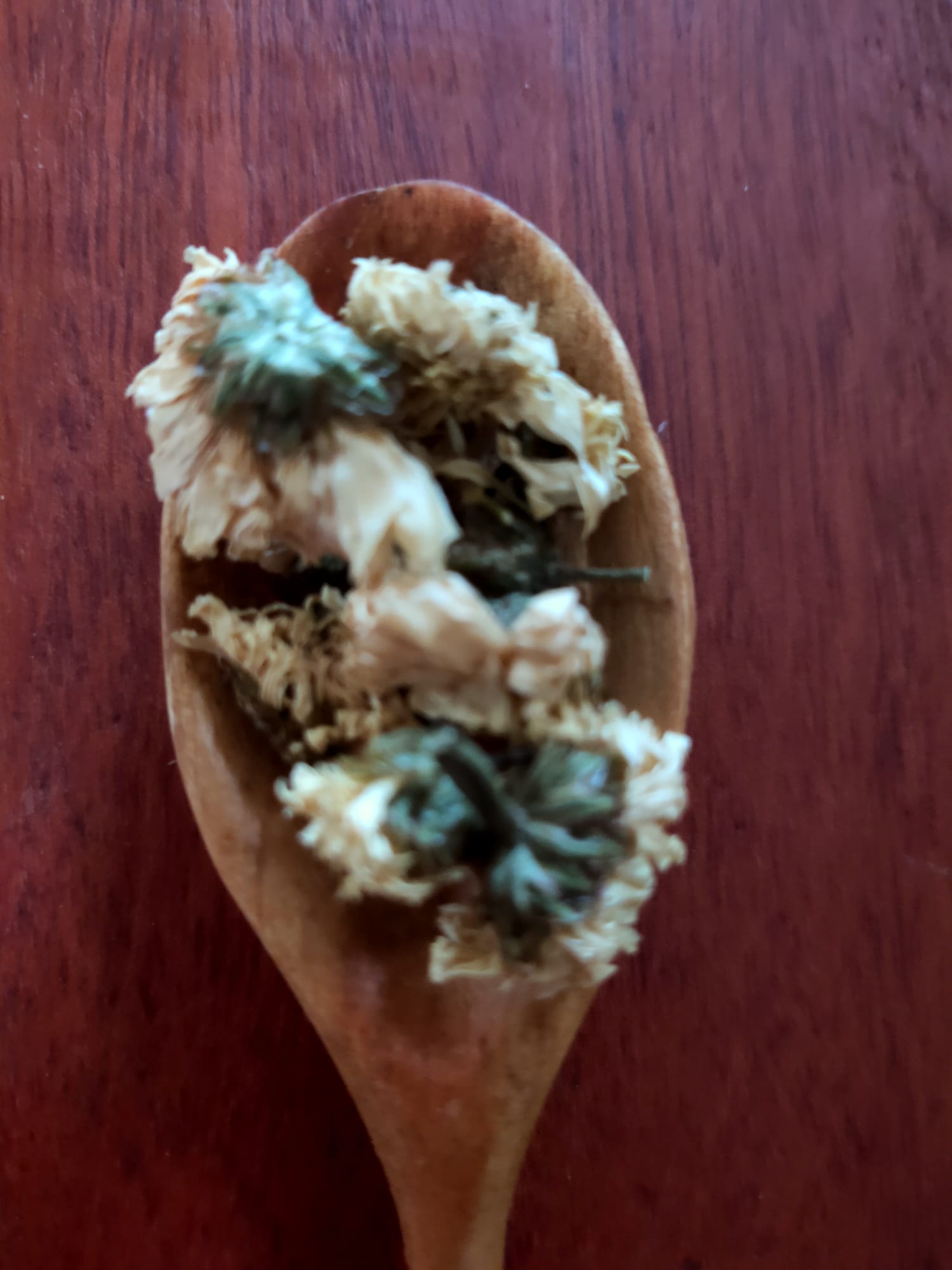 Chrysanthemum Flowers Medium Bag Mimi Love Enterprises