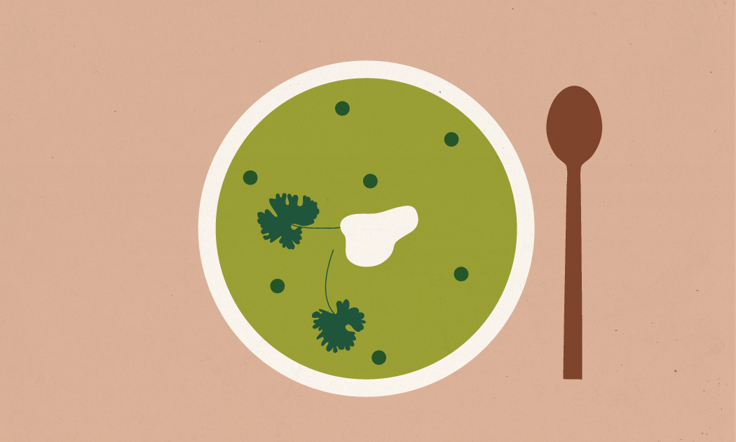 Libelle illustrations Mimimou