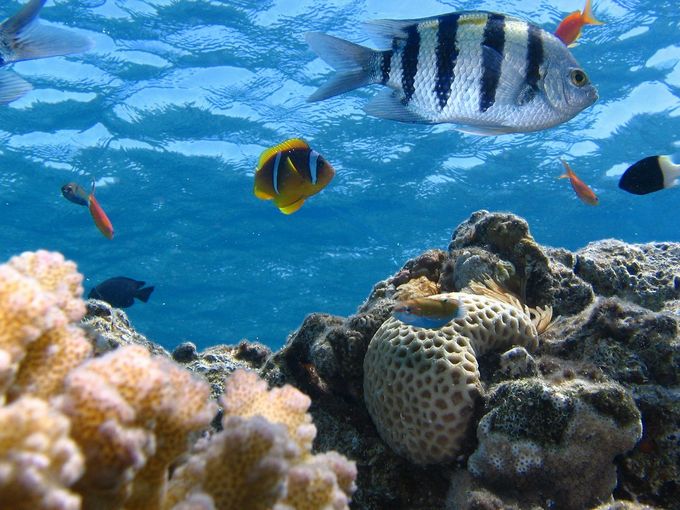 水圧は水深に比例？水の重さと面積から水による圧力の公式を導出する ページ 3 みみずく戦略室