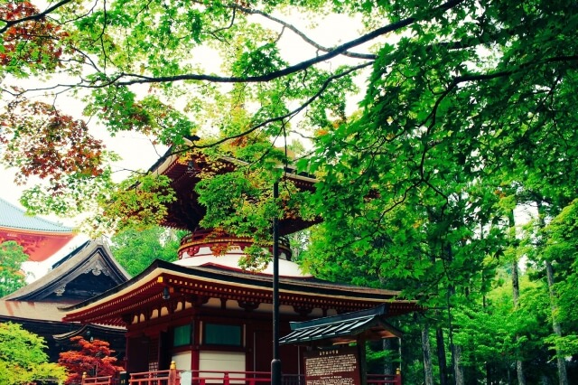 2019年1月末で受付終了!!】和歌山県高野町 日本旅行ギフトカード お得にふるさと納税してみた！ – ネットで稼ぐ方法と実態！お小遣い稼ぎ 和歌山県 高野町のふるさと納税のご紹介 ふるさと納税ナビ