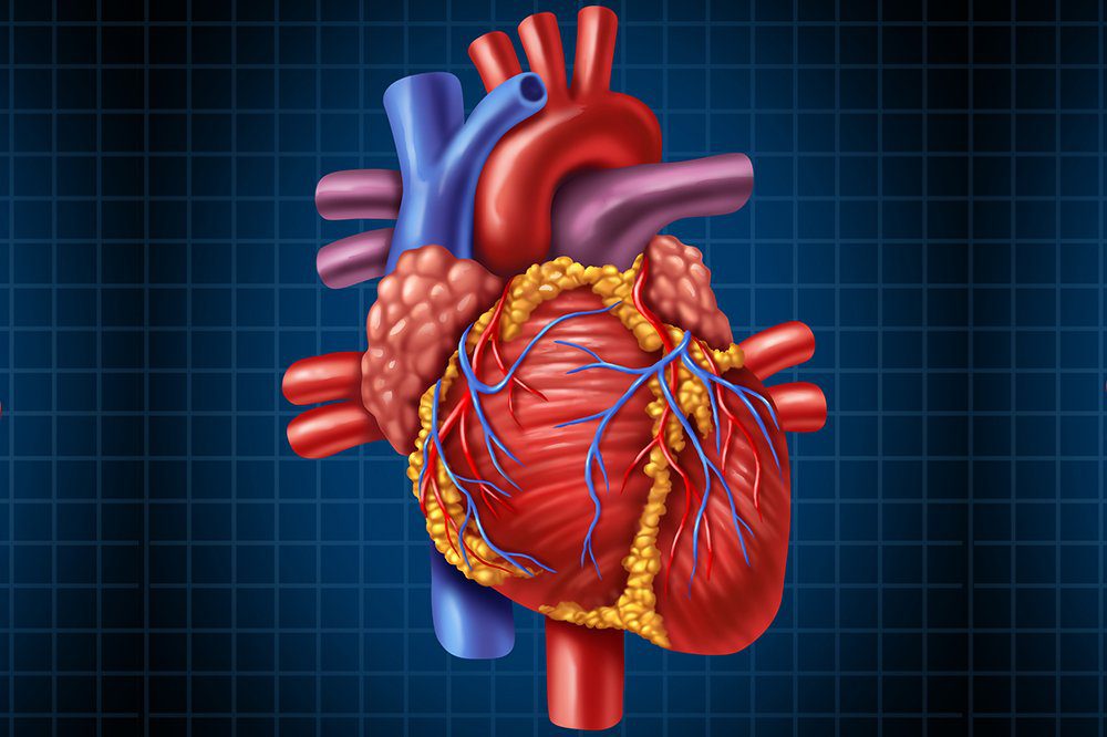 What is the best bedtime for a healthy heart?