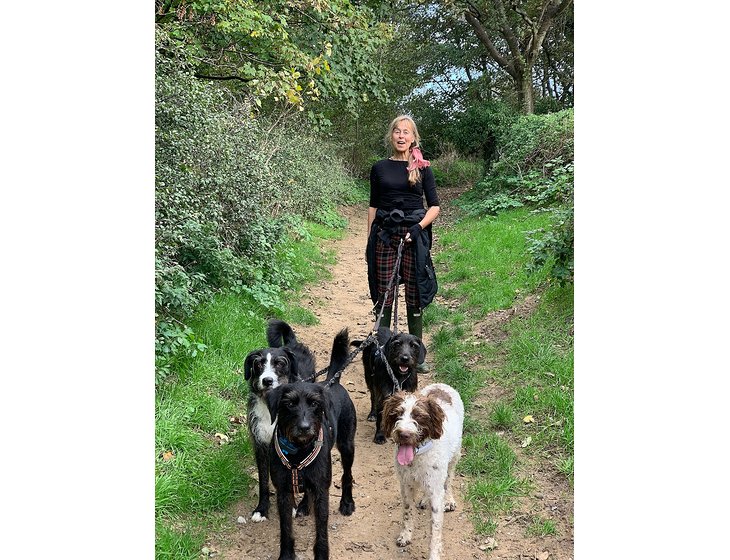 Pet & House Sitter in East Midlands and other states. [ID 5dk