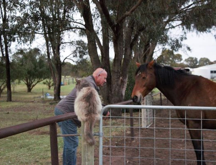 Pet & House Sitter in South Australia and other states. [ID wmu