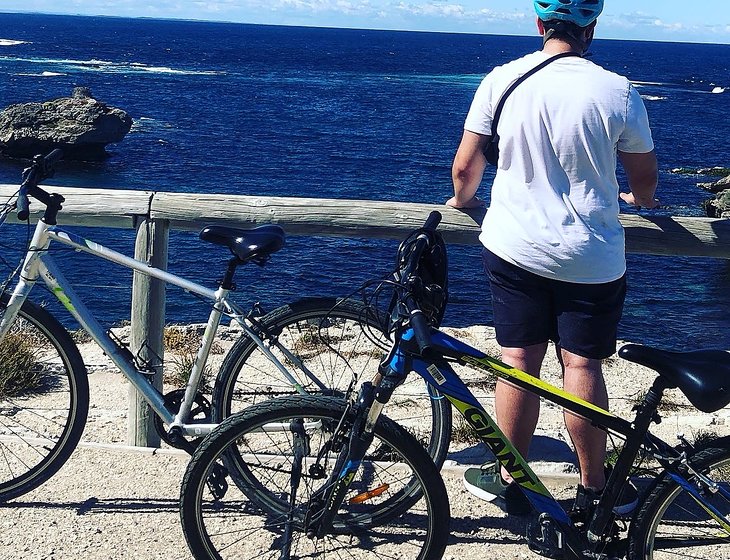 Pet & House Sitter in Victoria [ID 1nji] Mindahome Australia