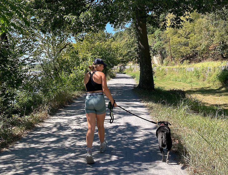 Pet & House Sitter in New South Wales [ID 1m10] Mindahome Australia