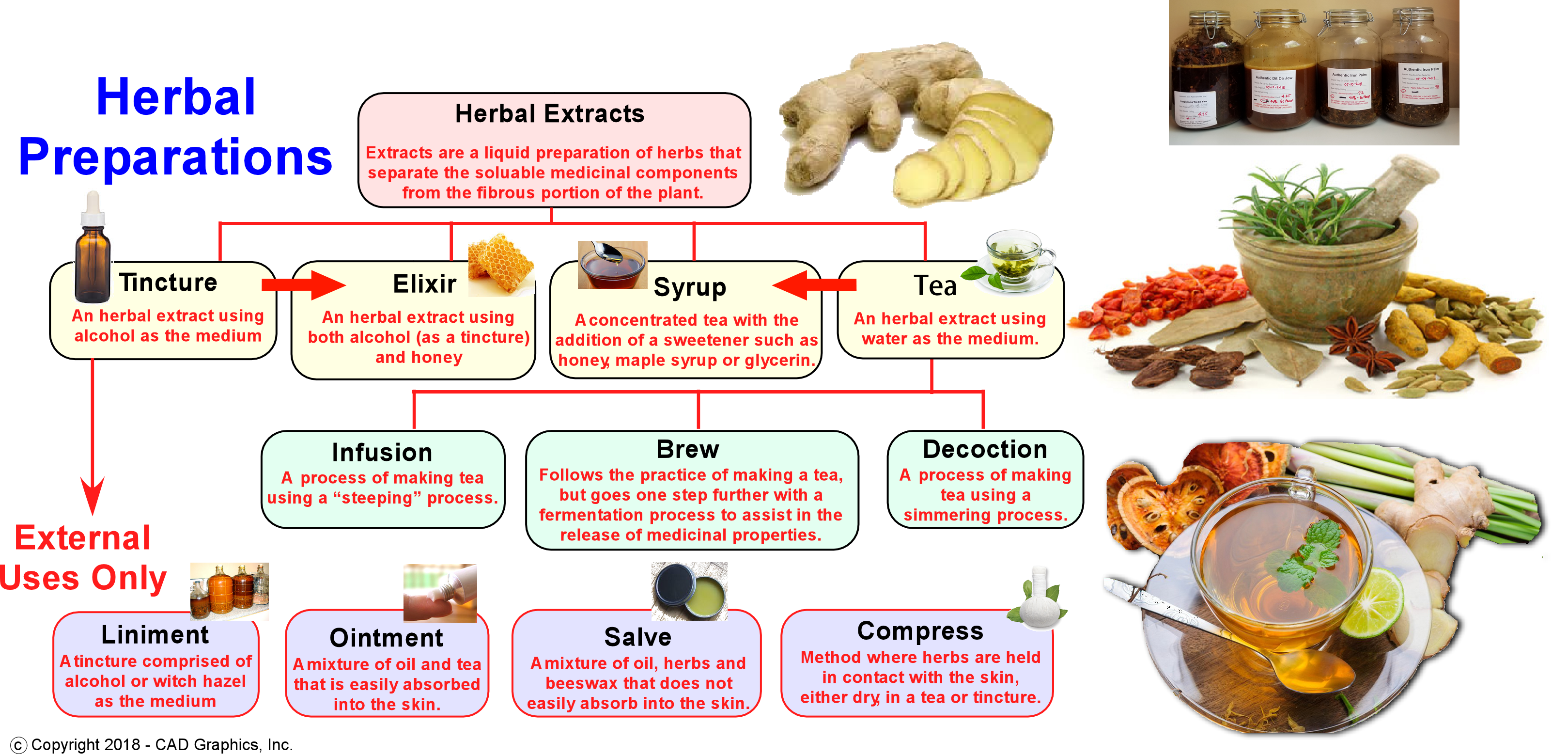 Chart of Various Herbal Preparations Mind and Body Exercises Blog