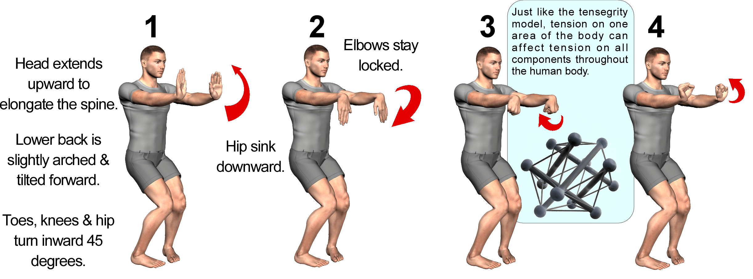 How to Increase Hand Grip Strength No Gym Required Mind and Body