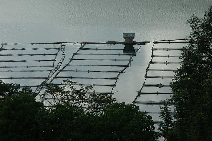 30 hectares of illegal tilapia fish pens dismantled in Lake Sebu