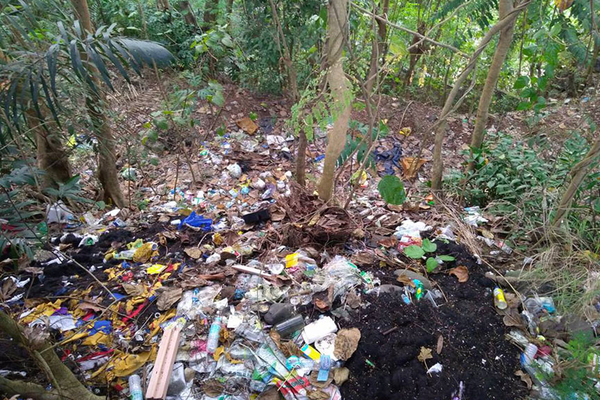 Sanitary landfill in Davao only good until 2023