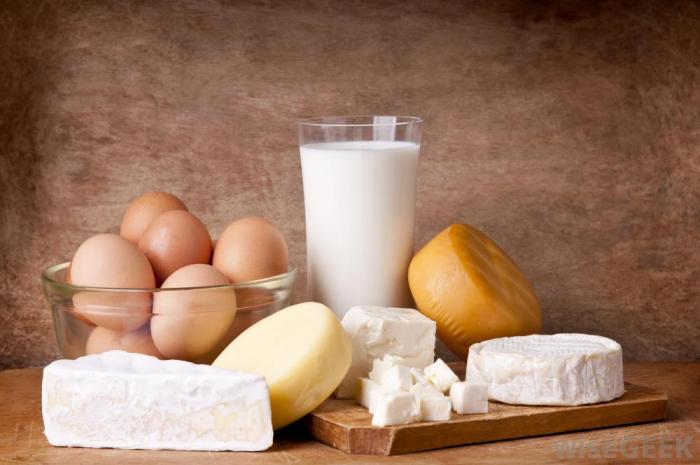 ARE EGGS DAIRY?