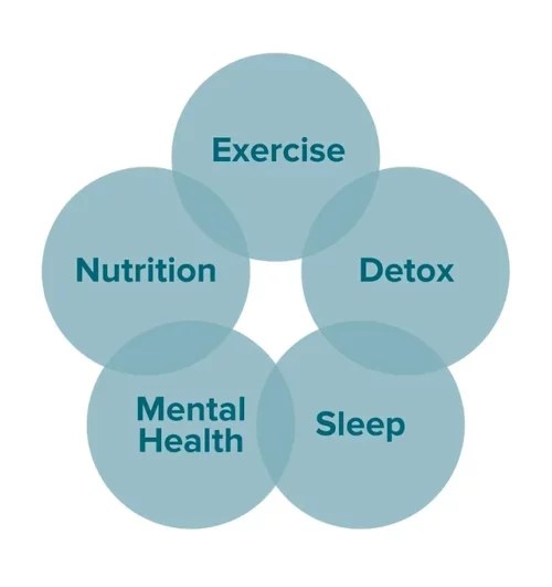 Mind Body Tampa Bay Functional Health and Wellness Coaching