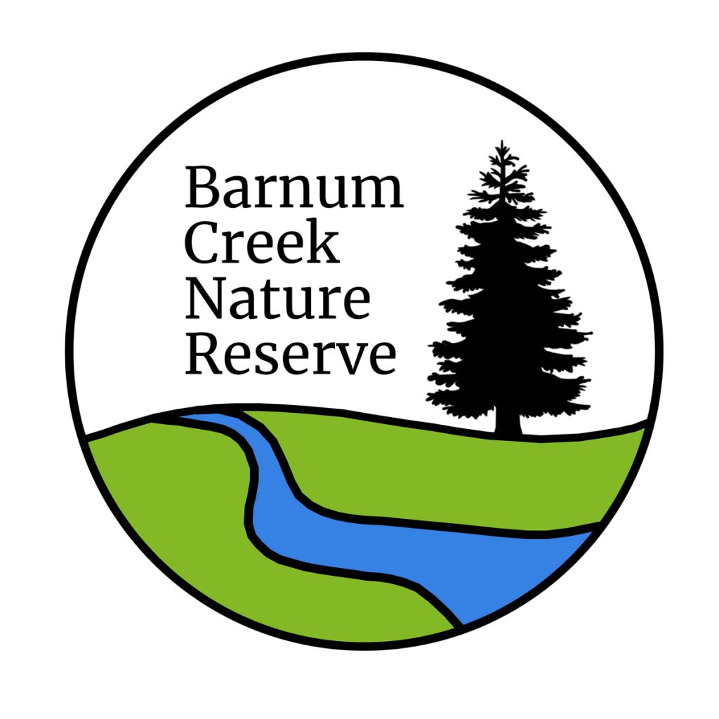 Paths of creativity in Barnum Creek logo design for student