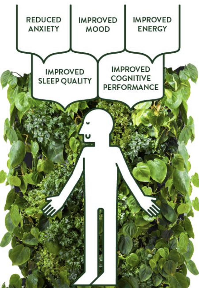 5 Awesome Benefits from Connecting with Nature Mindful Framing