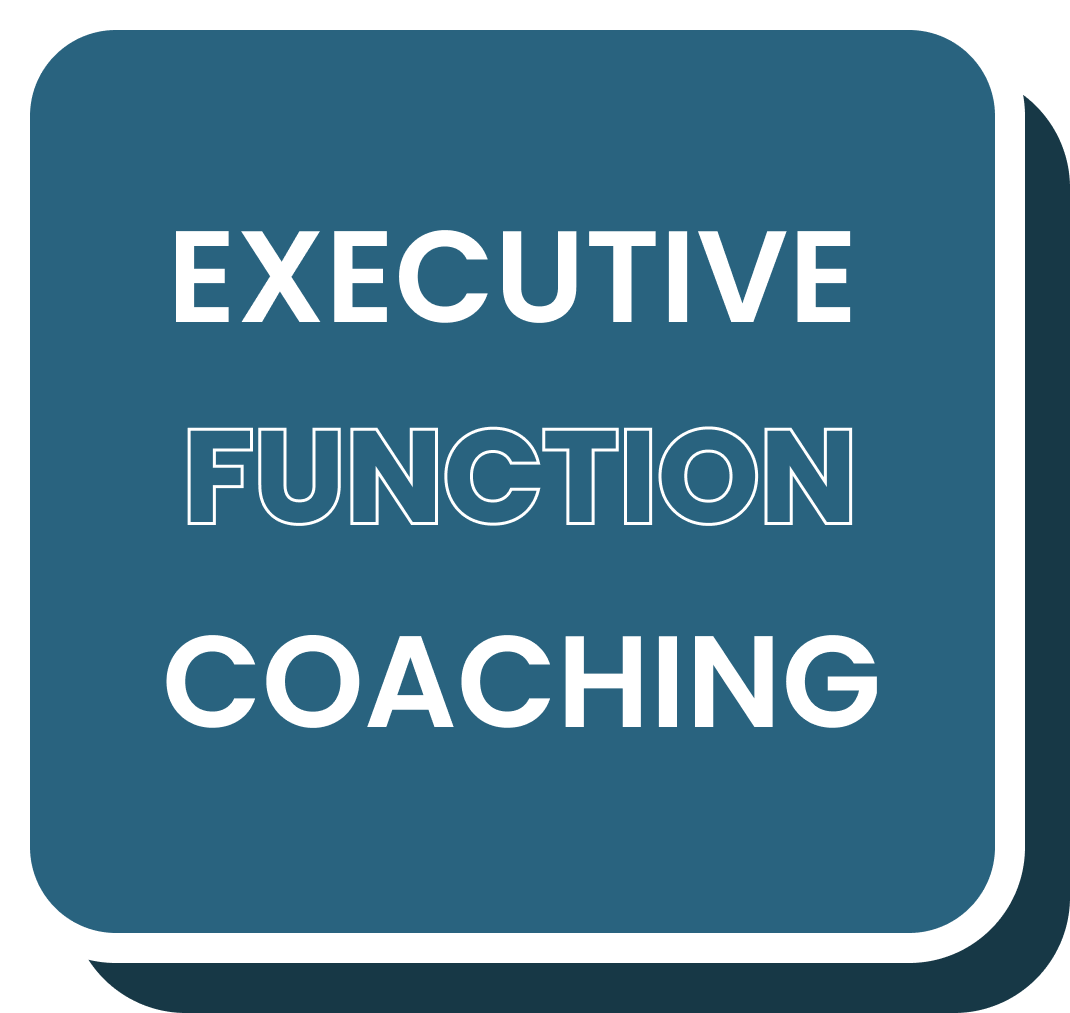 Executive Function Coaching Mindfish Test Prep & Academics