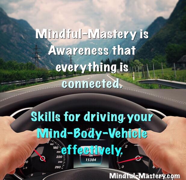 Your MindBody Vehicle A Holistic View of Resilience Mindful Mastery