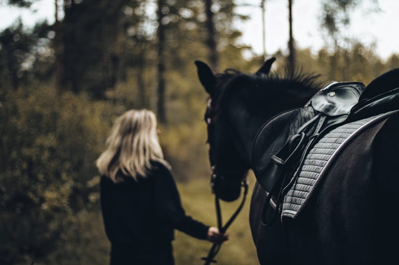 Performance Coaching The Mindful Equestrian