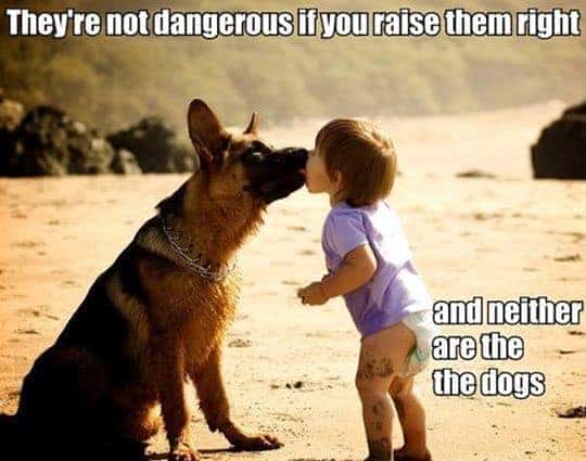 Famous A Boy And His Dog Quotes 2022 Heartwarming Animals: Great Dog Quotes Image Gallery - Mindful Animal® - Mindful Living Network -