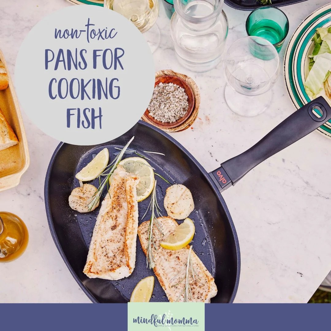 PFASfree cookware A nontoxic, nonstick fish pan for your kitchen