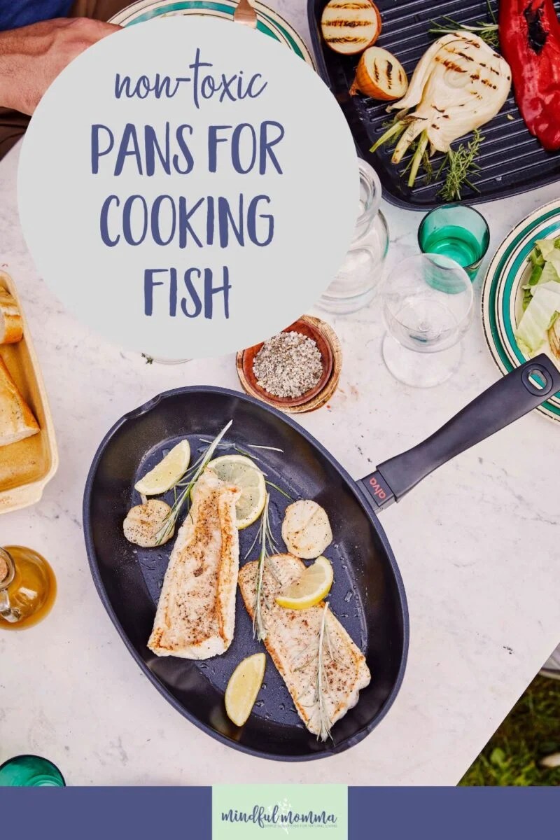 PFASfree cookware A nontoxic, nonstick fish pan for your kitchen